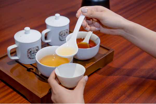 透過視覺、嗅覺、味覺了解不同茶種的喉韻與香氣。